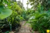18 Thomas Street, Manunda, Qld 4870-Image