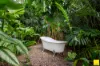 18 Thomas Street, Manunda, Qld 4870-Image