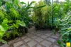 18 Thomas Street, Manunda, Qld 4870-Image