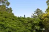18 Trafalgar Street, Morningside, Qld 4170-Image