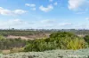 18 Triangle Court, Noarlunga Downs, SA 5168-Image