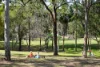18 Victoria Crescent, Toowong, Qld 4066-Image