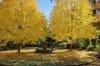 18 Victoria Road, Beechworth, Vic 3747-Image