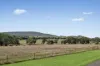 18 Wall Street, Cargo, NSW 2800-Image