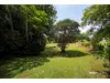 18 Watson Lane, Reesville, Qld 4552-Image