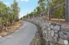 18 Wedgetail Court, Valdora, Qld 4561-Image