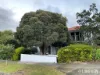 18 Wellesley Road, Glen Waverley, Vic 3150-Image