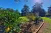 18 William Street, Pechey, Qld 4352-Image