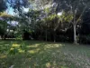 18 Wongaling Beach Road, Wongaling Beach, Qld 4852-Image