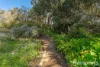 18 Yalgorup Court, Preston Beach, WA 6215-Image
