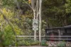 180 Fords Outlet Road, Deans Marsh, Vic 3235