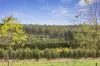 180 Fords Outlet Road, Deans Marsh, Vic 3235-Image