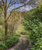 180 Fords Outlet Road, Deans Marsh, Vic 3235-Image