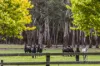 180 Fords Outlet Road, Deans Marsh, Vic 3235-Image