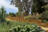 180 Golden Point Road, Golden Point, Vic 3451-Image