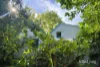 180 Golden Point Road, Golden Point, Vic 3451-Image