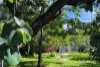 180 Golden Point Road, Golden Point, Vic 3451-Image