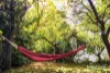180 Golden Point Road, Golden Point, Vic 3451-Image
