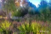 180 Golden Point Road, Golden Point, Vic 3451-Image