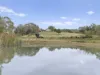 180 Green Road, Lurg, Vic 3673-Image