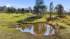 180 Tindal Road, Eatonsville, NSW 2460-Image