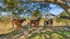 180 Tindal Road, Eatonsville, NSW 2460-Image