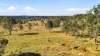180 Tindal Road, Eatonsville, NSW 2460-Image