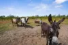 180 Venture Road, Bynoe, NT 0822-Image
