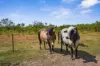 180 Venture Road, Bynoe, NT 0822-Image