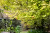 181 Acacia Drive, Millicent, SA 5280-Image