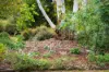 181 Acacia Drive, Millicent, SA 5280-Image