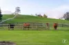 181 Beaumont Road, Berwick, Vic 3806-Image