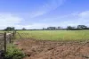 181 Bushy Road, Langhorne Creek, SA 5255-Image