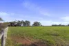 181 Bushy Road, Langhorne Creek, SA 5255-Image