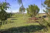 181 Bushy Road, Langhorne Creek, SA 5255-Image