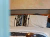 181 Cotton Street, Latrobe, Tas 7307-Image