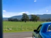 181 Cotton Street, Latrobe, Tas 7307-Image