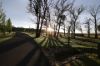 181 Drapers Road, Colo Vale NSW 2575-Image