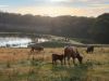 181 Drapers Road, Colo Vale NSW 2575-Image