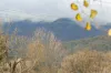 181 Kiewa Valley Highway, Tawonga South, Vic 3698-Image