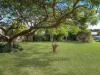 181 Main Street, Lowood, Qld 4311-Image