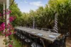 181 Nelson Street, Kearneys Spring, Qld 4350-Image