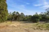 181 White Hill Road, Forcett, Tas 7173-Image