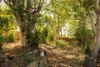 182 Blackstone Road, Silkstone, Qld 4304-Image