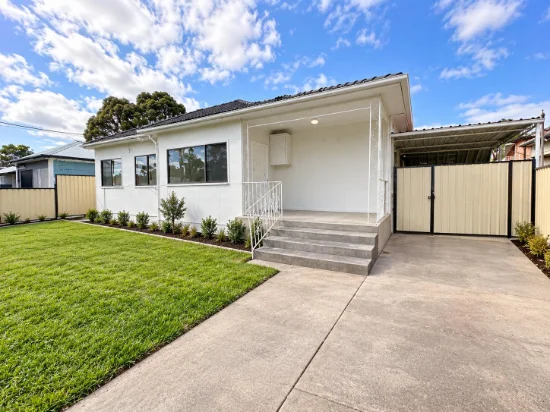 182 Chisholm Road, Auburn, NSW 2144
