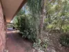 182 Doolbi Dam Road, Doolbi, Qld 4660-Image