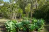 182 Rafting Ground Road, Agnes Water, Qld 4677-Image