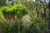 182 Rafting Ground Road, Agnes Water, Qld 4677-Image