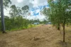 183 Arborfive Road, Glenwood, Qld 4570-Image