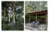 183 Glenview Road, Glenview, Qld 4553-Image